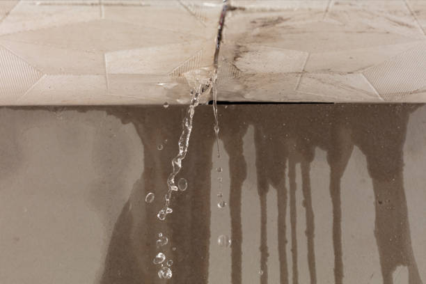 Professional Water Extraction technician working in Rye, CO